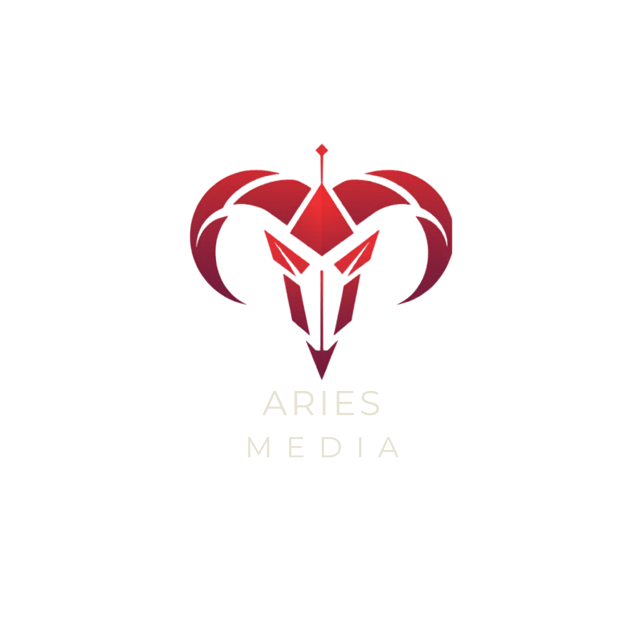 Aries Media Hub